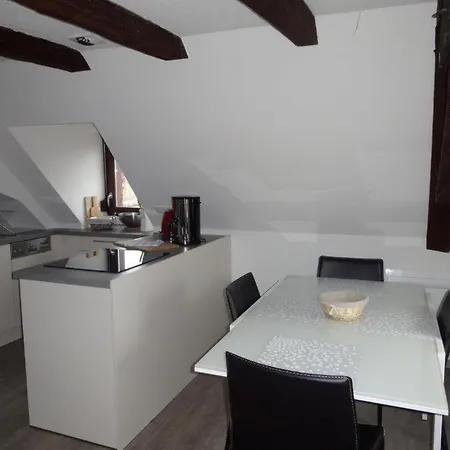 Appartamento A L'ill - & Hyper Centre Strasburgo