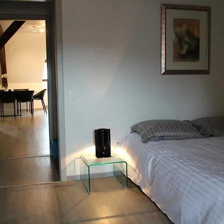 Apartment A L'ill - & Hyper Centre *